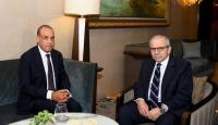 وزير الخارجية المصري ونظيره اللبناني