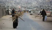 صورة ارشيفية