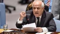 المندوب الدائم لدولة فلسطين لدى الأمم المتحدة الوزير رياض منصور