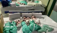 اطفال خدج في غزة- ارشيفية