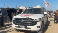 الصليب الأحمر