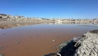 بركة الشيخ رضوان