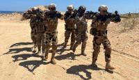 الجيش المصري