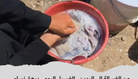 لقطة من الفيديو