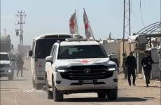 الصليب الاحمر