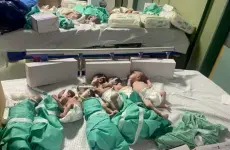 اطفال خدج في غزة- ارشيفية