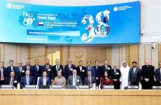 المؤسسات الدولية