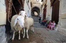 صورة ارشيفية