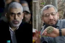 صورة ارشيفية