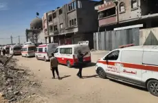 صورة تعبيرية