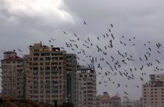 صورة تعبيرية