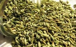 15-most-important-benefits-anise-health.jpg