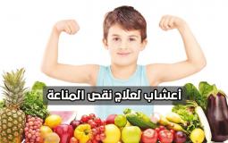 علاج ضعف المناعة