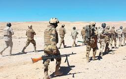 الجيش المصري في سيناء