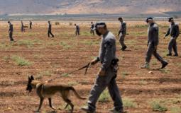 صورة ارشيفية