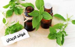 فوائدالريحان