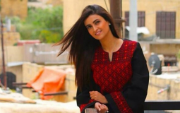 علا الفارس