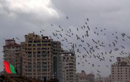 صورة ارشيفية