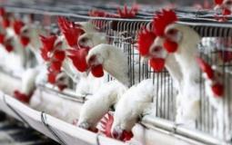 صورة ارشيفية