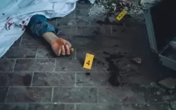 صورة توضيحية