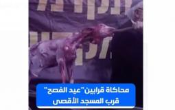 جانب من الفيديو