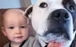 صورة الطفل والكلب