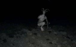 صورة ارشيفية