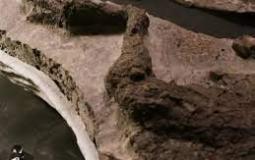 العثور على حفرية دنياصور "مخيف" في صحراء مصر 