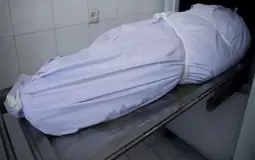 صورة توضيحية