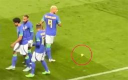 واقعة الموز في مباراة البرزايل وتونس