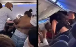 جانب من الشجار