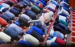 لحظة طعن إمام مسجد أثناء صلاة الفجر