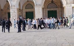 اقتحام مجموعات من المستوطنين باحات المسجد الأقصى