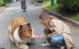 رجل ياباني تحول إلى كلب