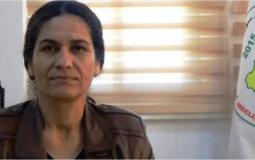 الرئيسة المشتركة لدائرة العلاقات الخارجية بـ"الإدارة الذاتية" في شمال شرق سوريا الهام أحمد