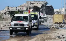 الصليب الأحمر