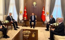 أردوغان مع وزير الخارجية المصري ونظيره التركي