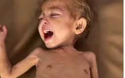 ارجوان الدهيني