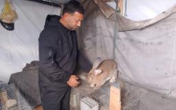 محمد نعيم قديح