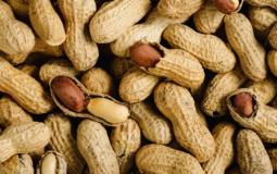 الفول السوداني