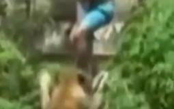 جانب من الفيديو