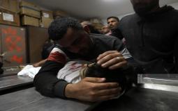 صورة ارشيفية