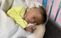 صورة تعبيرية