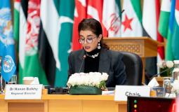 المديرة الإقليمية لشرق المتوسط في منظمة الصحة العالمية حنان بلخي