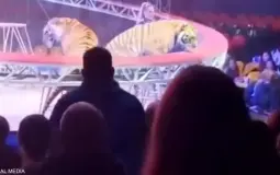 جانب من الفيديو