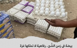 البيض في غزة