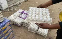 البيض في غزة