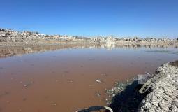 بركة الشيخ رضوان