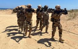 الجيش المصري