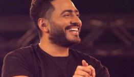 الفنان تامر حسني
